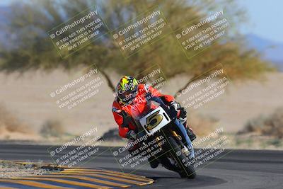 media/Feb-04-2023-SoCal Trackdays (Sat) [[8a776bf2c3]]/Turn 4 (Tree of Life 2pm)/